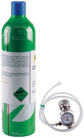 SENSIT 881-00047 SMART-CAL Calibration Gas Kit for the Gold G2 and Trak-It IIIa, 25ppm H&lt;sub&gt;2&lt;/sub&gt;S, 58L-